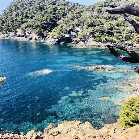 Le Cabanon * Hyères
